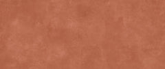 Emser Agio 47" X 109"  Slim Rino