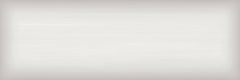 Emser Colori 10"x30" Polished Taupe