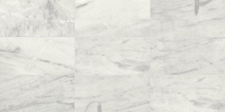 Daltile Parksville Stone 12" X 24" Honed Yukon White