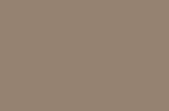 Emser Expanse 39" X 59" Matte  Solo Taupe