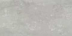 Emser Prodigy 12"x24" Matte Fermi