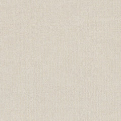 Daltile Prime 12" X 12" Square Matte KC01 White