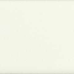 Daltile Color Complements 8" X 24" Matte Matte Pearl White