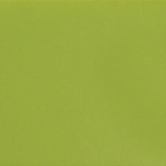 Daltile Color Complements 10" X 14" Matte Matte Kiwi