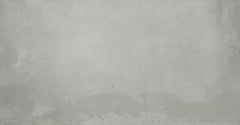Emser Borigni 12"x23"  Gray